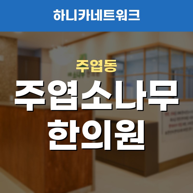 주엽동야간진료한의원 협착증으로 인한 허리통증, 오래 앉아 있다가 더 아파지나요