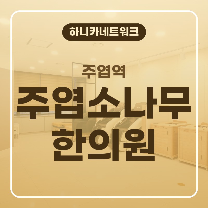 주엽역한의원 오래 앉은 뒤 허리통증 묵직한 경우 허리디스크도 점검해봐야